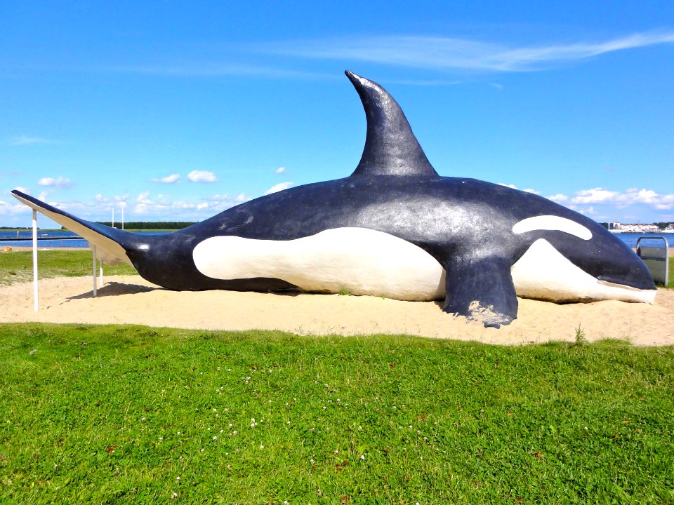 Orka strand Spakenburg