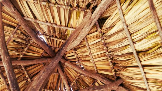 Hut roof wood photo