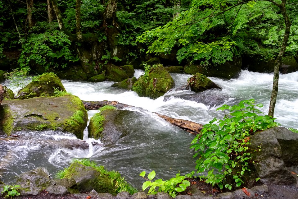 Oirase Mountain Stream - Towada, Aomori - DSC01304