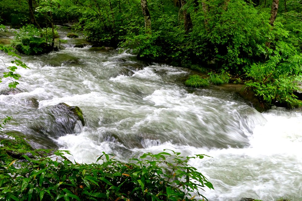 Oirase Mountain Stream - Towada, Aomori - DSC00975