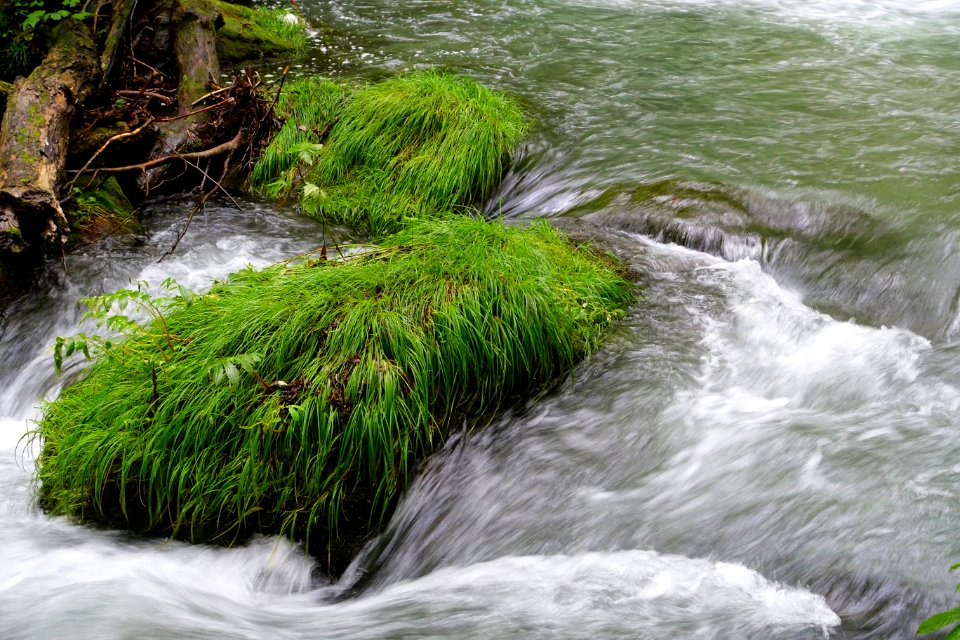 Oirase Mountain Stream - Towada, Aomori - DSC01260