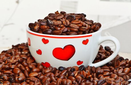 Heart cup valentine's day photo