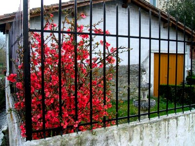 Orduña 08
