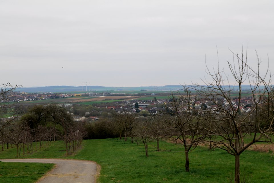 Orchard Ockstadt 2021-04-02 44
