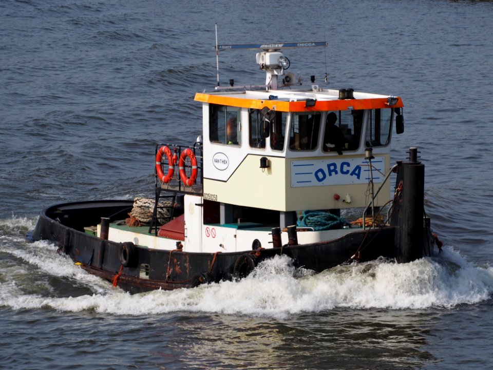Orca - ENI 03150350, Amsterdam-Rijnkanaal, pic2