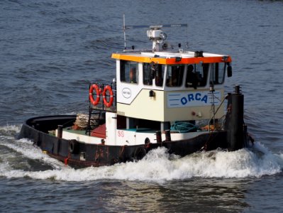 Orca - ENI 03150350, Amsterdam-Rijnkanaal, pic2