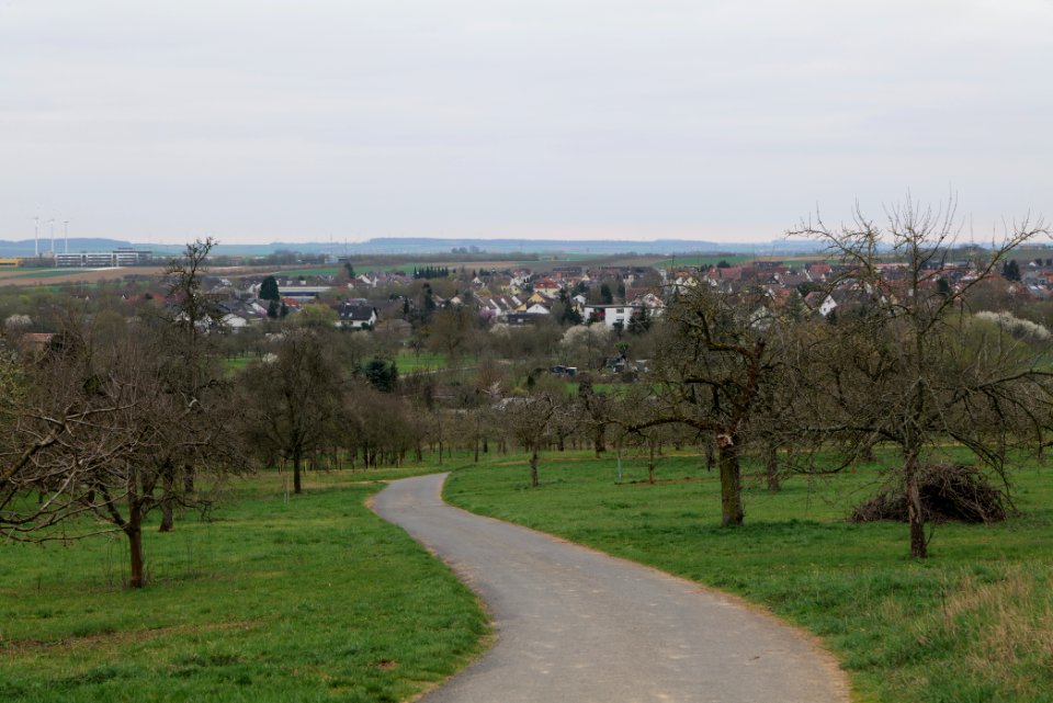 Orchard Ockstadt 2021-04-02 34