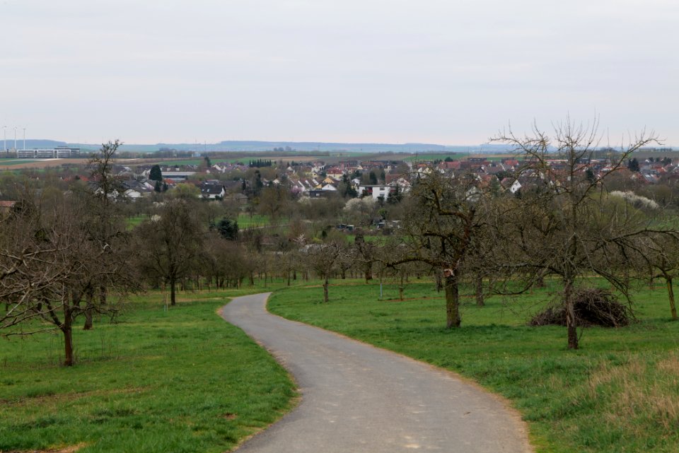 Orchard Ockstadt 2021-04-02 33
