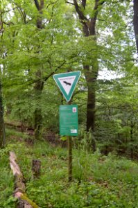 Orbishöhe von Auerbach und Zwingenberg (3)