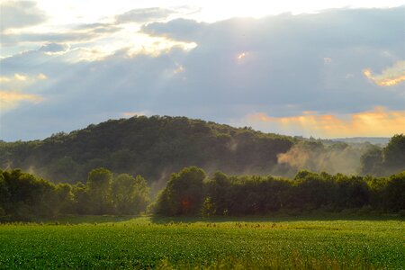 Mist green nature