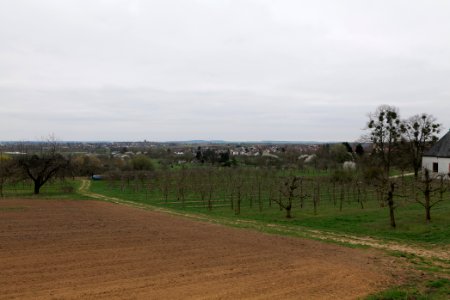 Orchard Ockstadt 2021-04-02 22