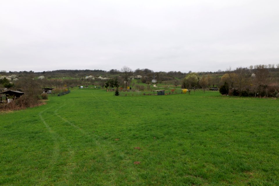 Orchard Ockstadt 2021-04-02 07
