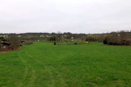 Orchard Ockstadt 2021-04-02 07