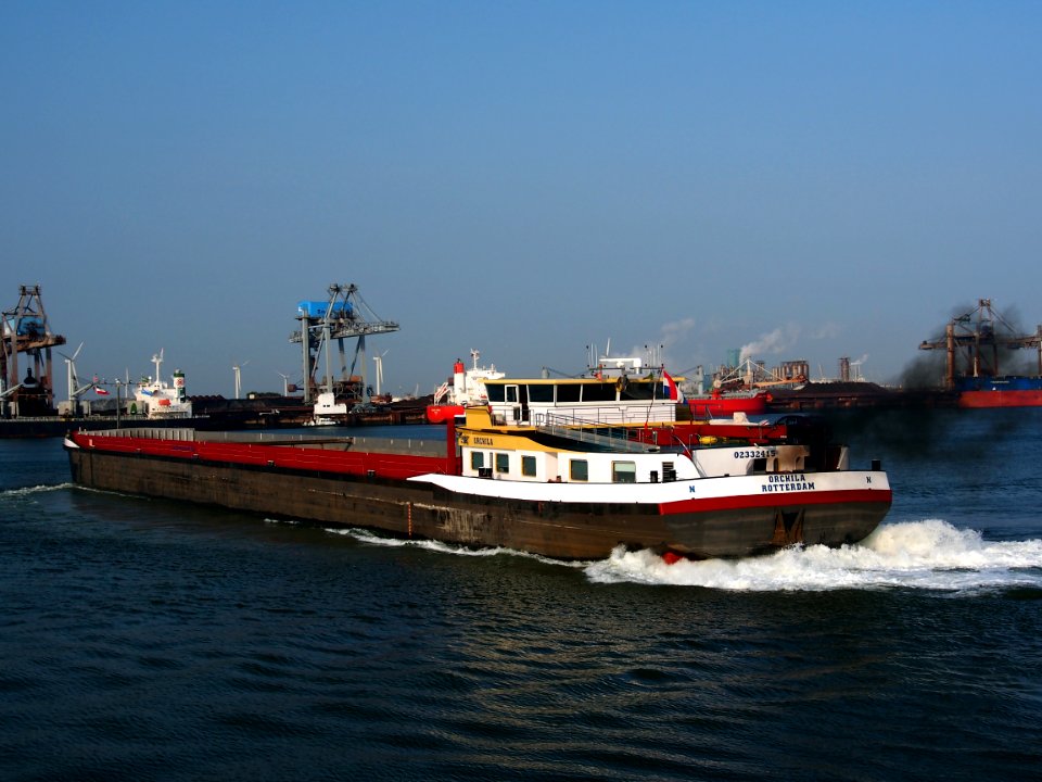 Orchila ENI 02332415 pic-005