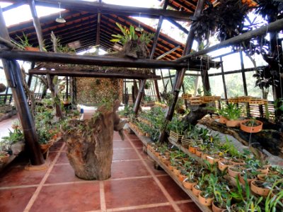 Orchid Nursery Margaret Mee - Jardim Botânico de Brasília - DSC09745