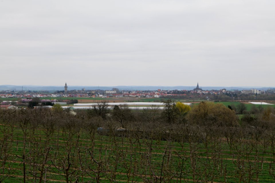 Orchard Ockstadt 2021-04-02 17