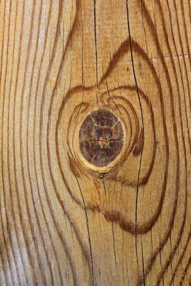 Brown circle close-up
