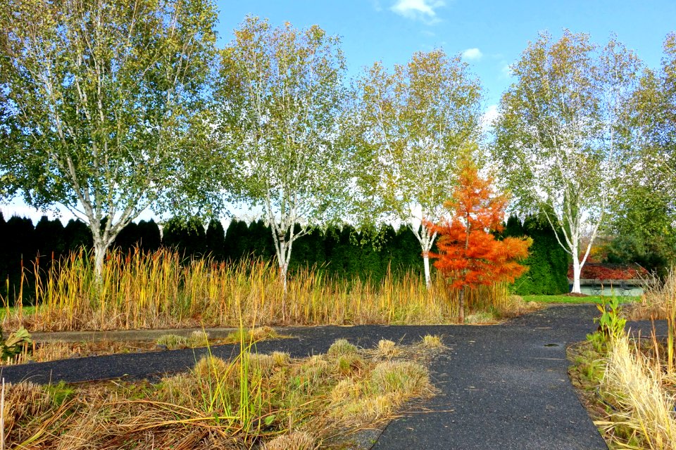 Oregon Garden - Silverton, Oregon - DSC00304