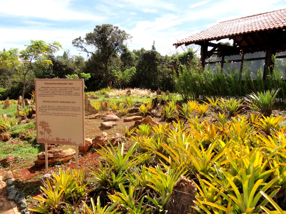 Orchid Nursery Margaret Mee - Jardim Botânico de Brasília - DSC09760