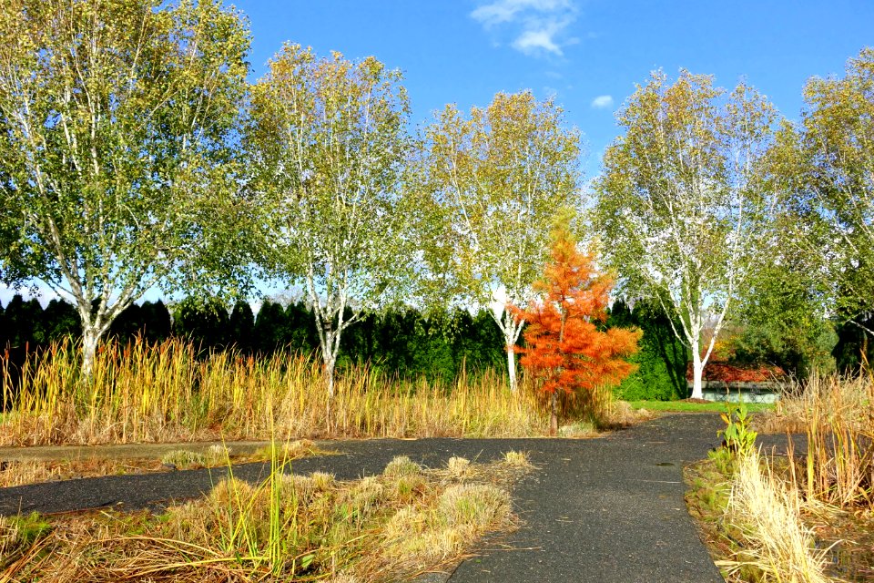 Oregon Garden - Silverton, Oregon - DSC00308