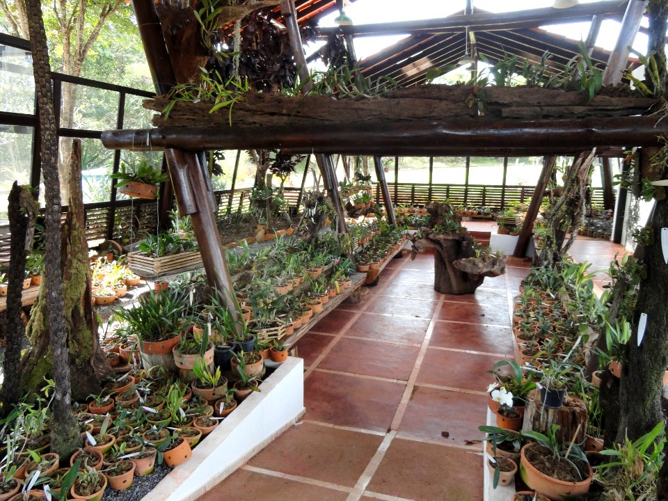 Orchid Nursery Margaret Mee - Jardim Botânico de Brasília - DSC09740