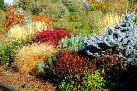 Oregon Garden - Silverton, Oregon - DSC00318