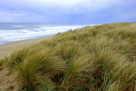 Oregon Dunes National Recreation Area - DSC09677