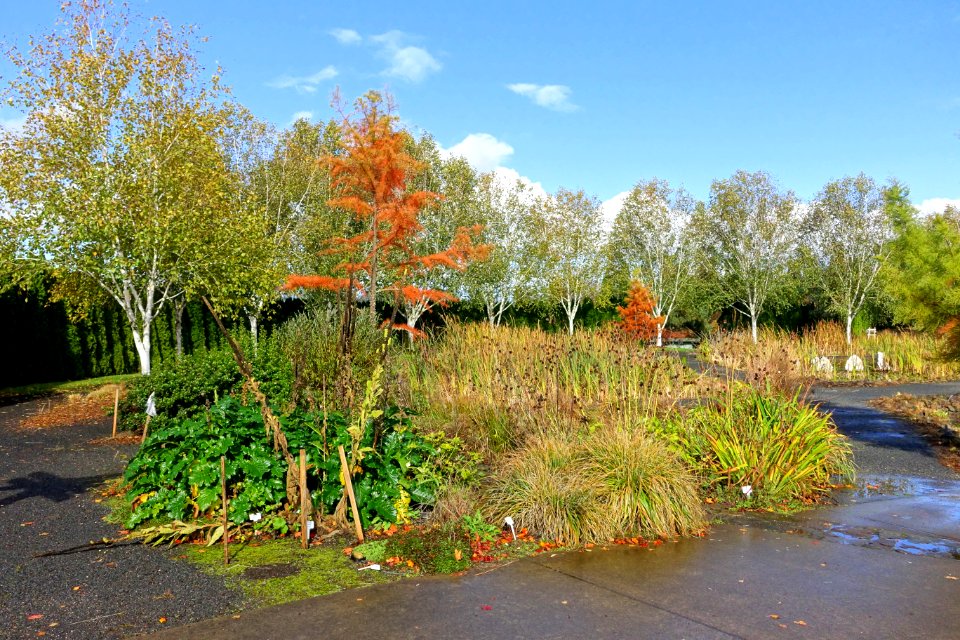 Oregon Garden - Silverton, Oregon - DSC00300