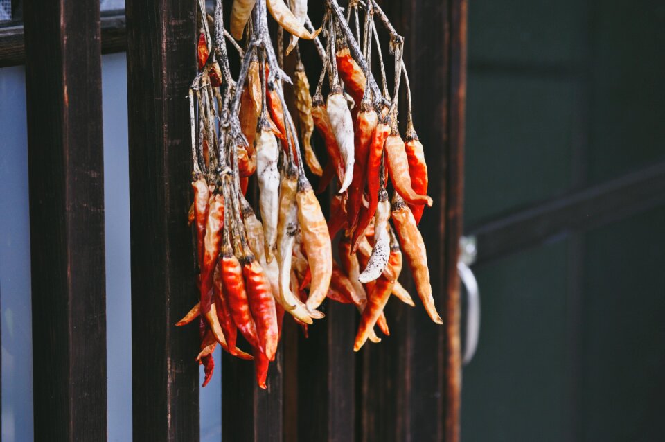 Hanging seafood market
