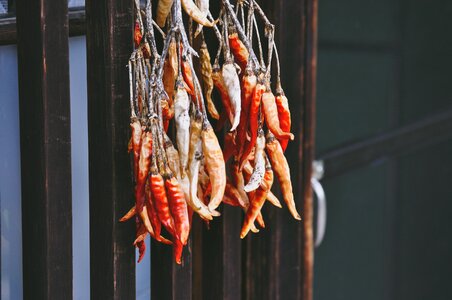 Hanging seafood market
