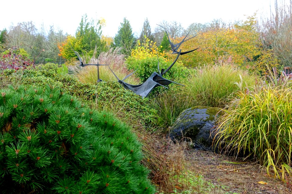 Oregon Garden - Silverton, Oregon - DSC00158