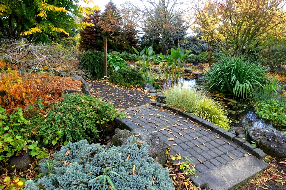 Oregon Garden - Silverton, Oregon - DSC00161