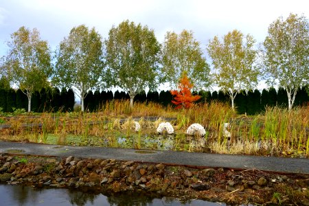 Oregon Garden - Silverton, Oregon - DSC00139