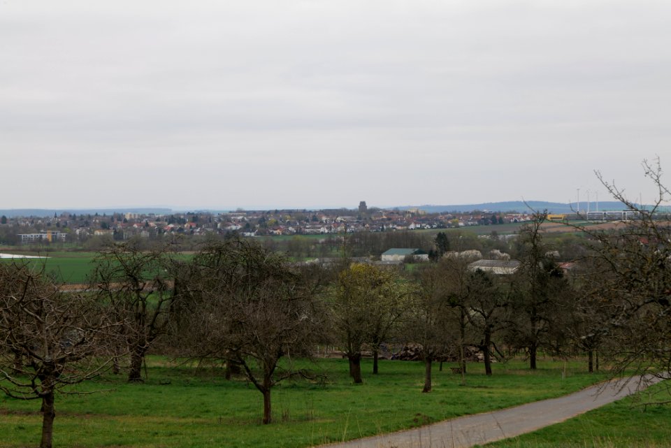 Orchard Ockstadt 2021-04-02 27