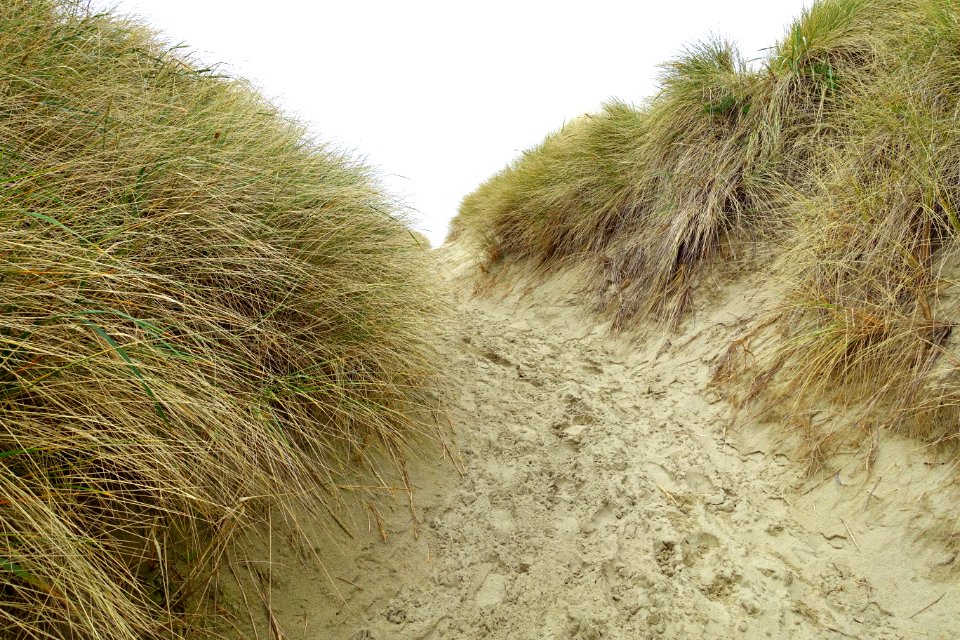 Oregon Dunes National Recreation Area - DSC09675