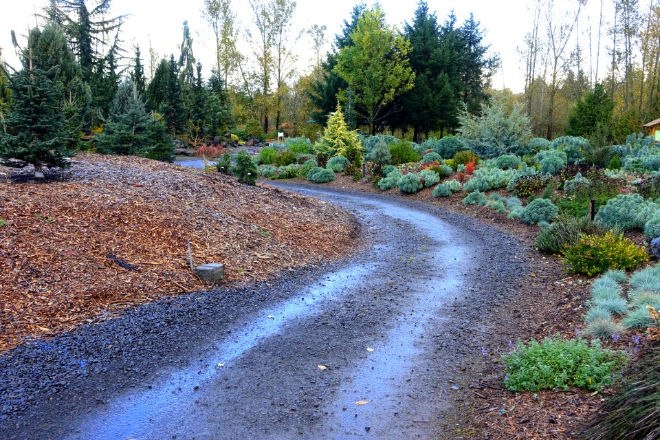 Oregon Garden - Silverton, Oregon - DSC00229