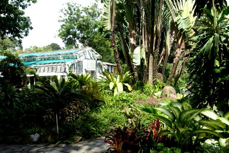 Orchid House - Saigon Zoo and Botanical Gardens - Ho Chi Minh City, Vietnam - DSC01298
