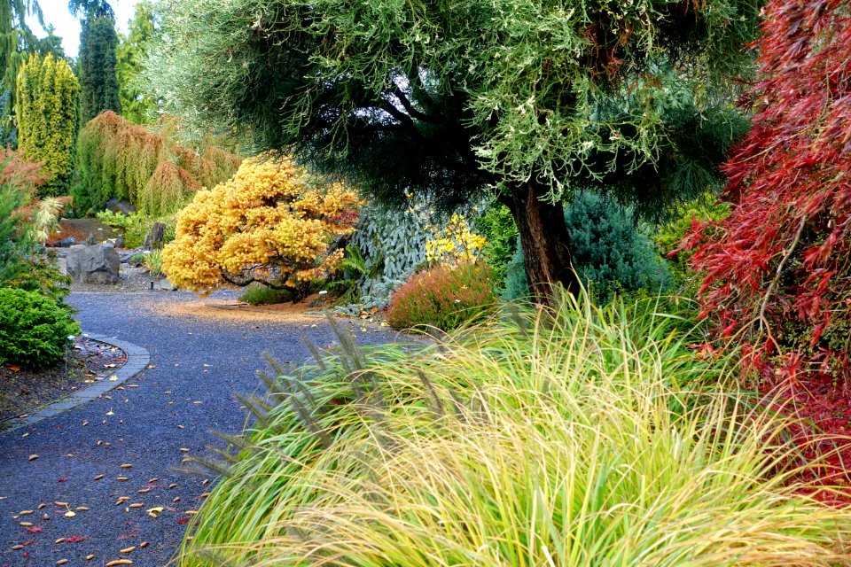 Oregon Garden - Silverton, Oregon - DSC00270