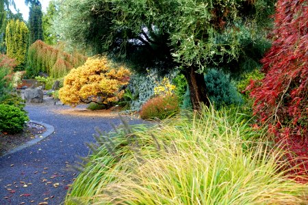 Oregon Garden - Silverton, Oregon - DSC00270