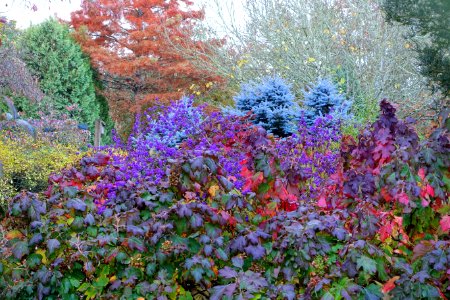 Oregon Garden - Silverton, Oregon - DSC00202