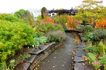 Oregon Garden - Silverton, Oregon - DSC00150