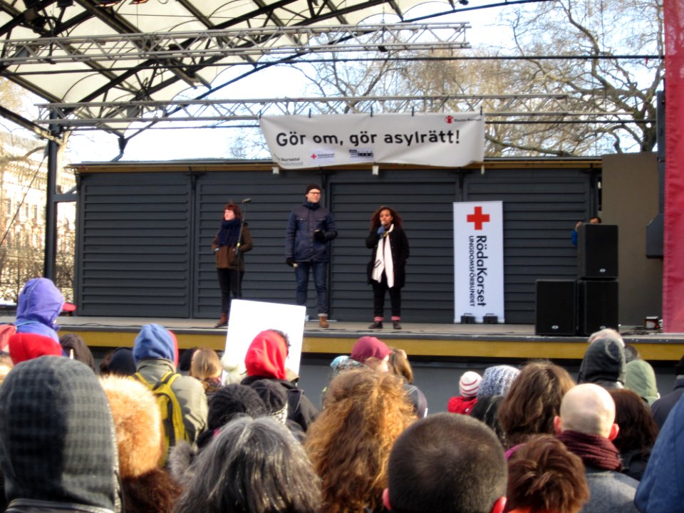 Organizers speak at demonstration against Swedish migration policy in Stockholm-3