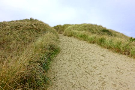 Oregon Dunes National Recreation Area - DSC09672