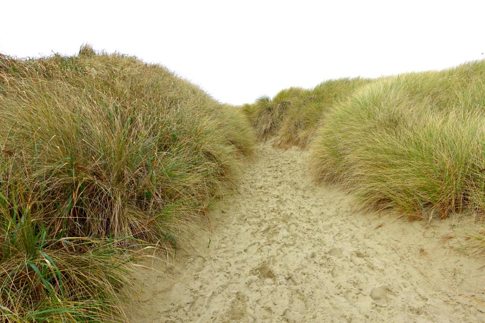 Oregon Dunes National Recreation Area - DSC09674