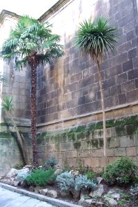 Orense - Catedral, lado oeste