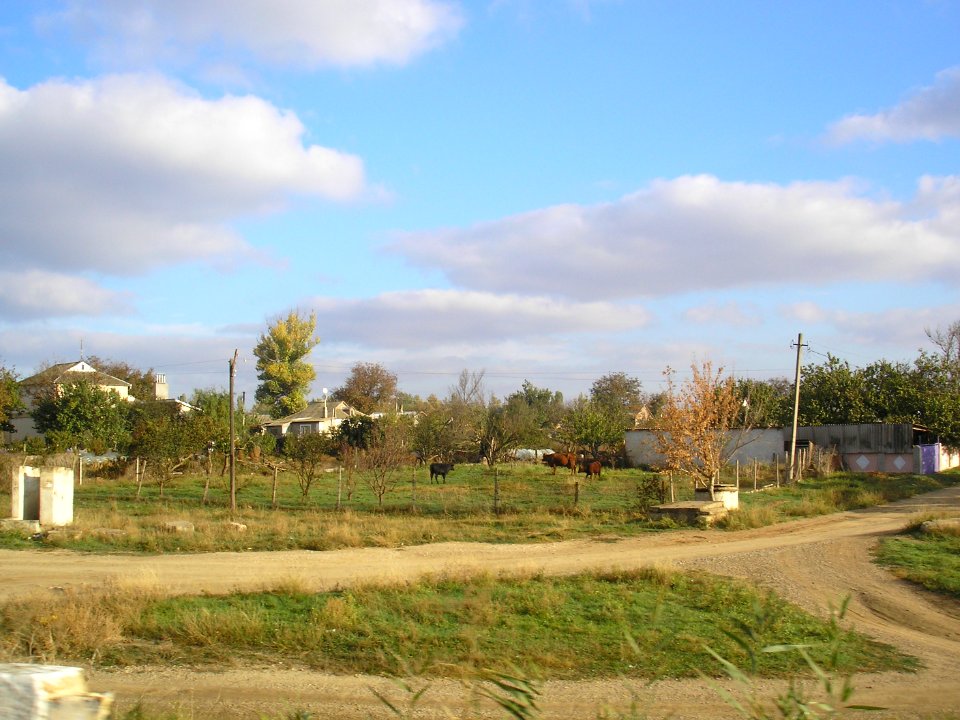 OrehovoSak 10