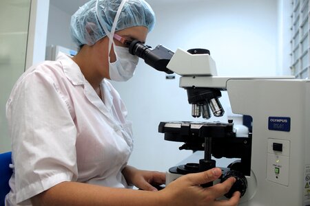 Veterinary semen cells