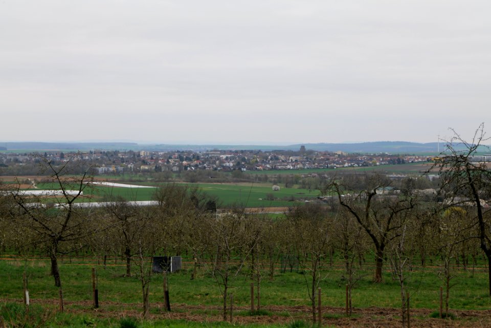 Orchard Ockstadt 2021-04-02 46