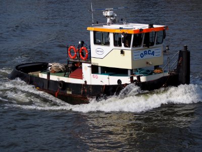 Orca - ENI 03150350, Amsterdam-Rijnkanaal, pic3