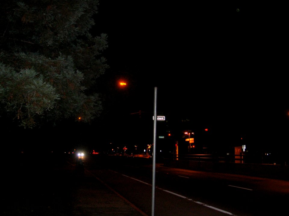 Orchard VTA 2193 02